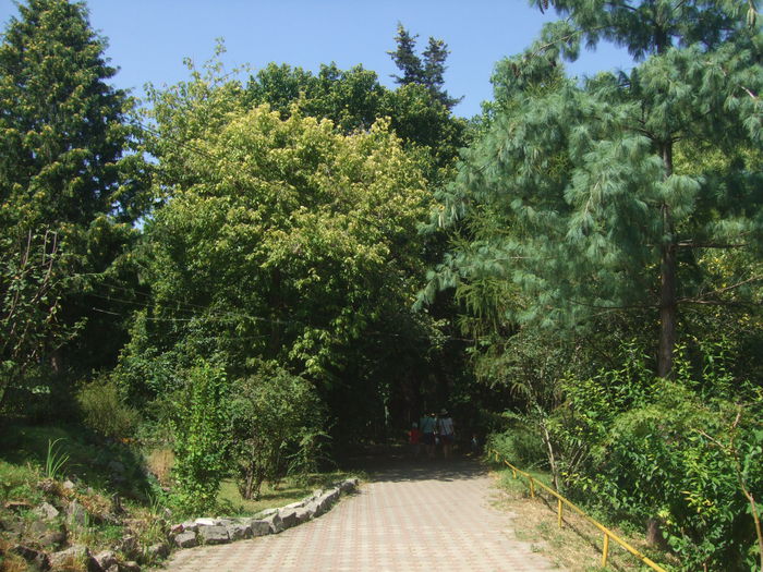 23.08.2015 085 - Gradina Botanica Cluj Napoca