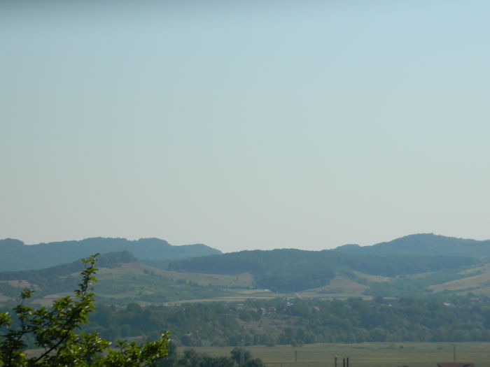 DSCN5569 - 2015_GRADINA BOTANICA JIBOU