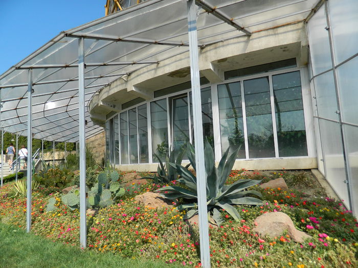 DSCN5573 - 2015_GRADINA BOTANICA JIBOU