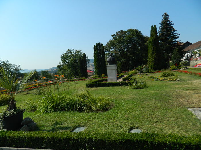 DSCN5576 - 2015_GRADINA BOTANICA JIBOU