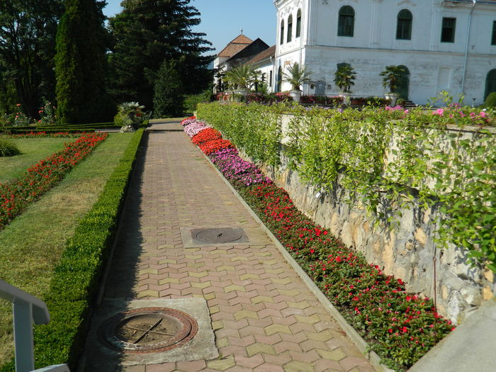DSCN5580 - 2015_GRADINA BOTANICA JIBOU