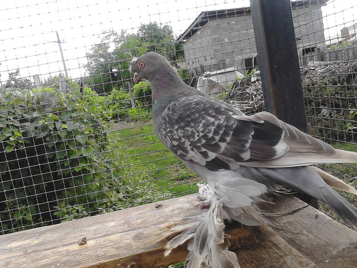 IMG_20150823_150111_0