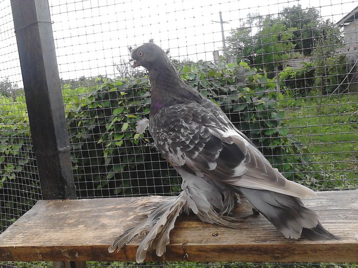 IMG_20150823_150321_0