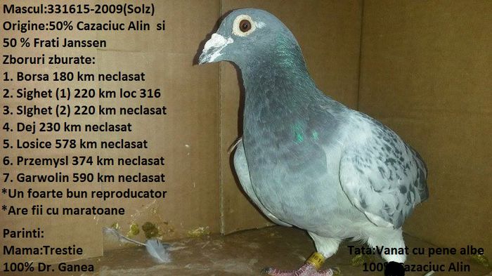 11911189_1627142060874365_722273294_n