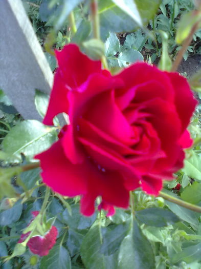 ABCD0019 urcator; urcator
