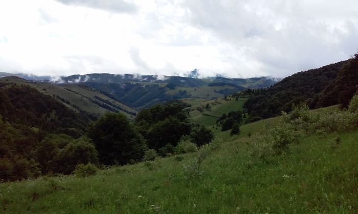 20150620_112640 - La Bocseni-un loc mirific