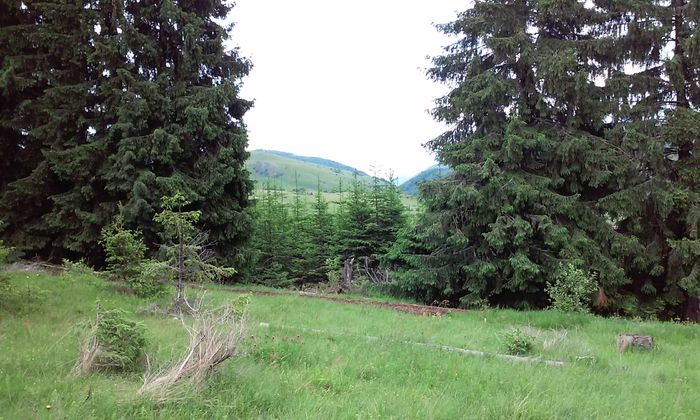20150620_133824 - La Bocseni-un loc mirific