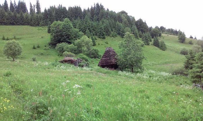 20150620_135111 - La Bocseni-un loc mirific
