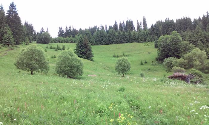 20150620_135119 - La Bocseni-un loc mirific
