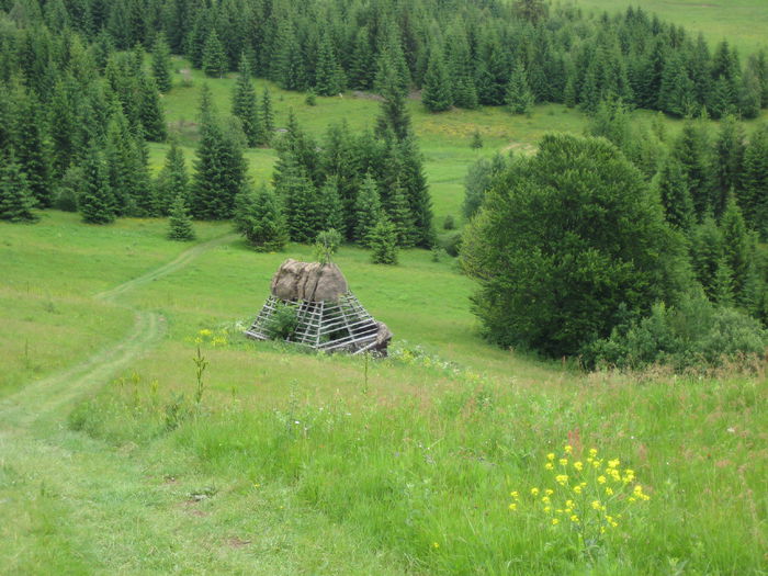 IMG_0015 - La Bocseni-un loc mirific