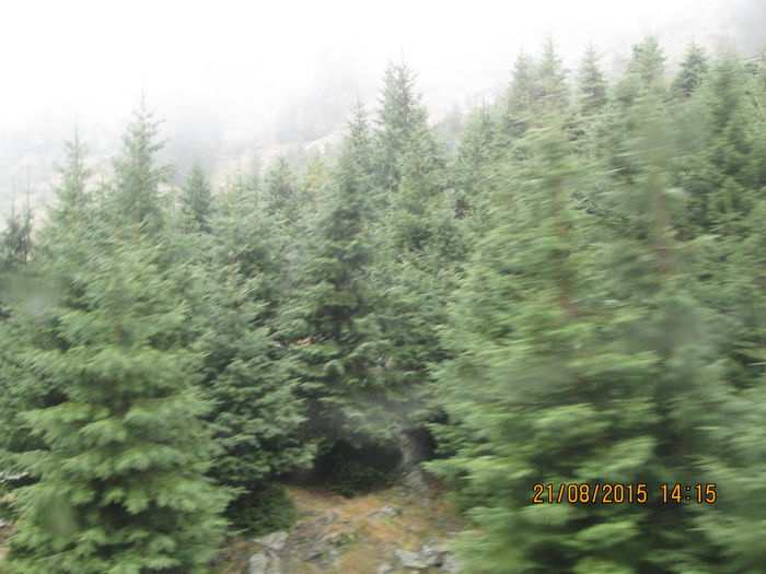IMG_8221 - Transfagarasan 2015