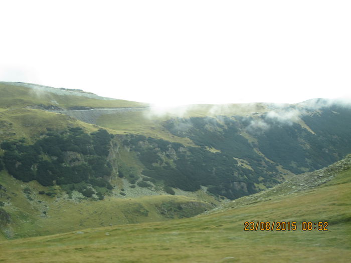 IMG_8383 - Transalpina 2015