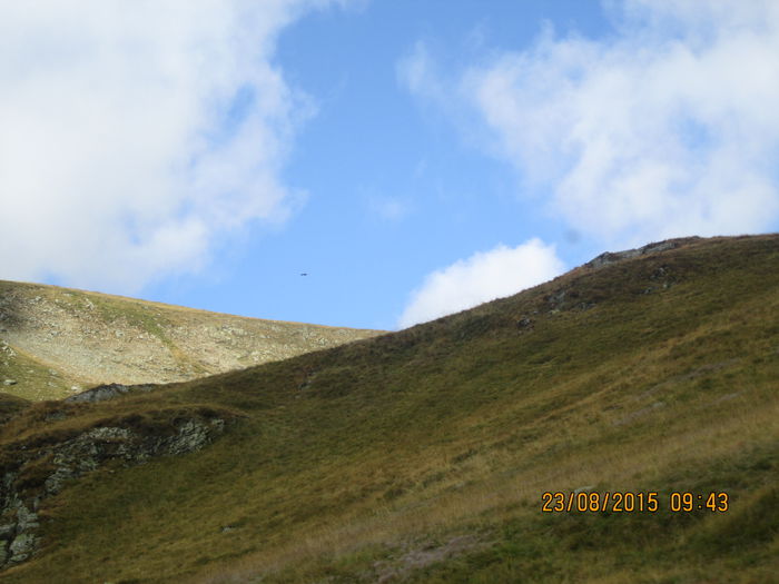 IMG_8453 - Transalpina 2015