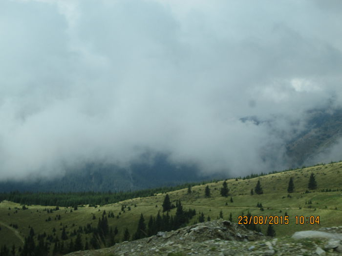 IMG_8511 - Transalpina 2015