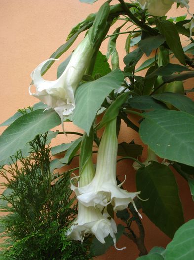 final de august (11)