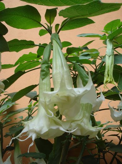 final de august (13)