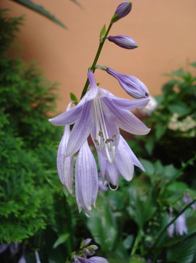 final de august (15)