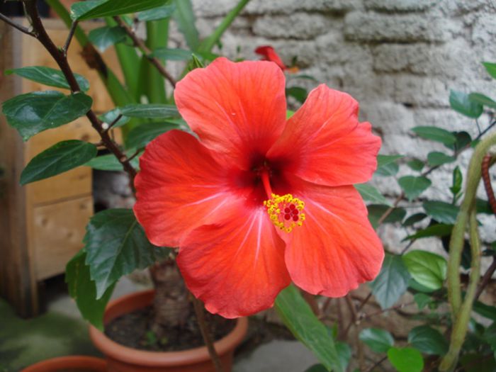 final de august (21)