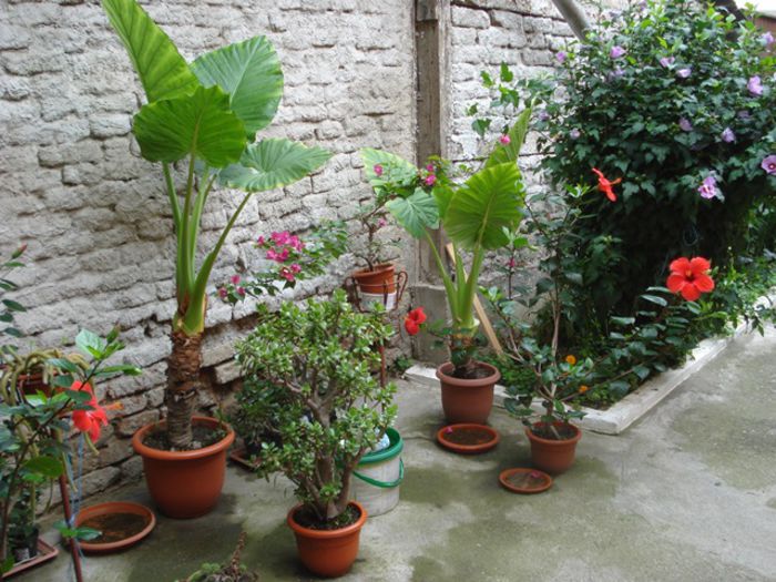 final de august (22)