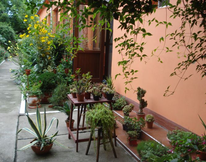 final de august (25)