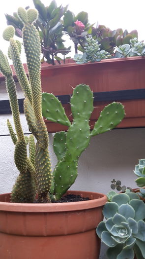 20150821_105030