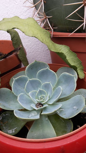 20150821_104925