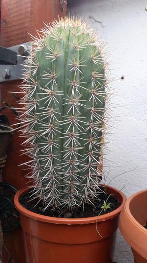 20150821_104917