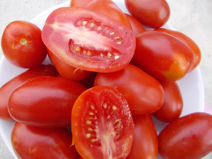  - SEMINTE ROSII - ROTE ZUCKERPFLAUME - SACHARNAJA SLIWA KRASNAYA