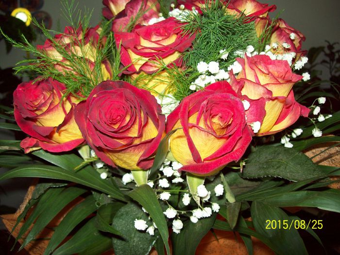 103_5031 - Aranjamente florale