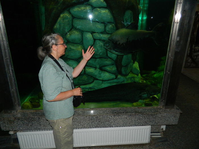 DSCN5712 - 2015_GRADINA BOTANICA JIBOU