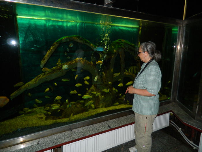 DSCN5713 - 2015_GRADINA BOTANICA JIBOU