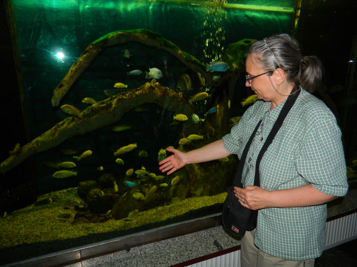 DSCN5714 - 2015_GRADINA BOTANICA JIBOU