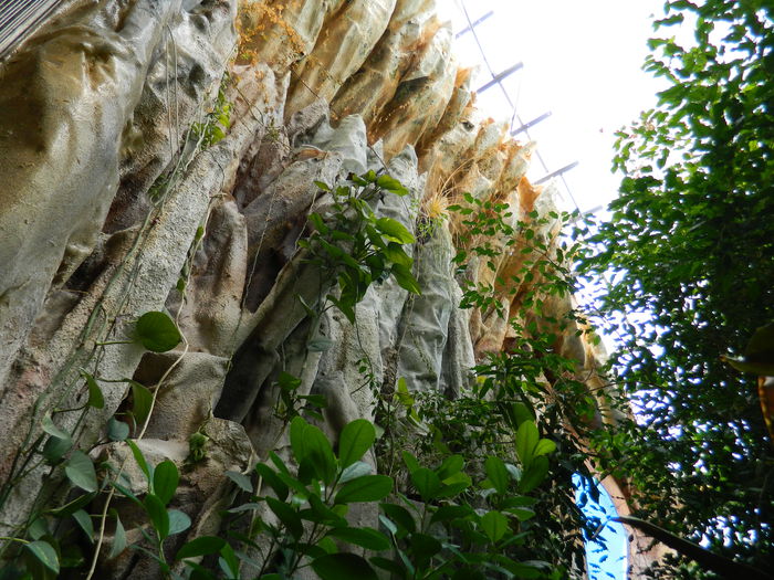 DSCN5731 - 2015_GRADINA BOTANICA JIBOU