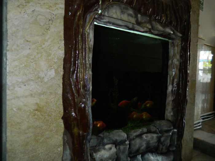 DSCN5754 - 2015_GRADINA BOTANICA JIBOU