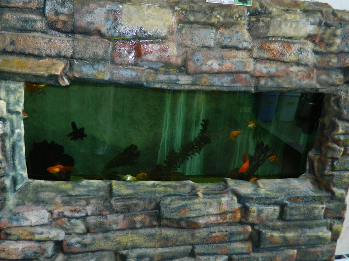 DSCN5781 - 2015_GRADINA BOTANICA JIBOU