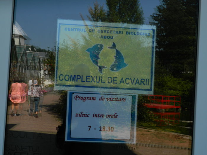 DSCN5783 - 2015_GRADINA BOTANICA JIBOU