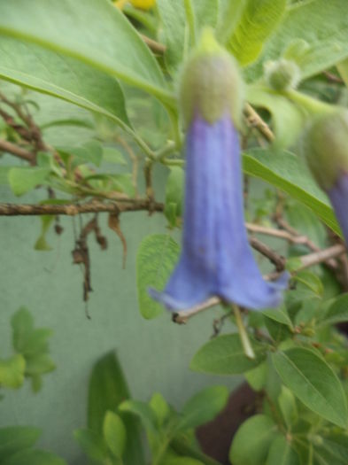 DSC04721