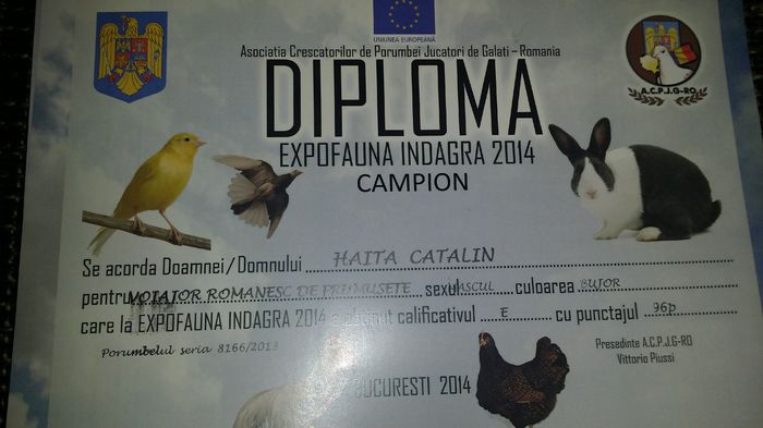 Diploma - Contact