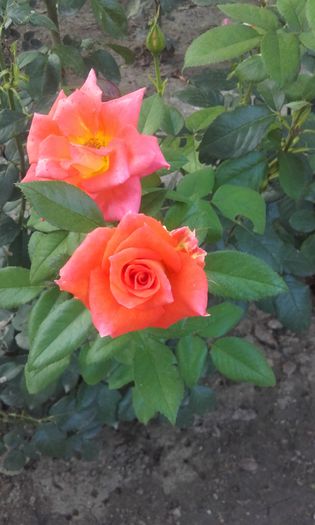 20150826_192146