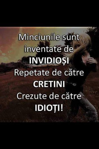 12 - Sedinte si intalniri- VRDF