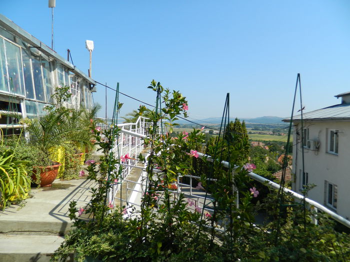 DSCN5796 - 2015_GRADINA BOTANICA JIBOU