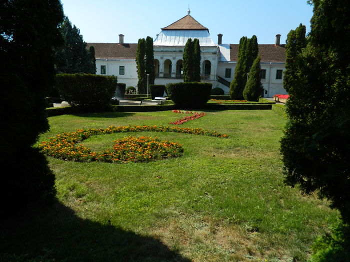 DSCN5809 - 2015_GRADINA BOTANICA JIBOU
