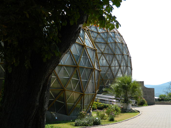 DSCN5812 - 2015_GRADINA BOTANICA JIBOU