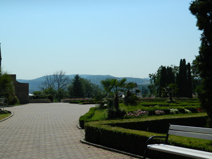 DSCN5813 - 2015_GRADINA BOTANICA JIBOU