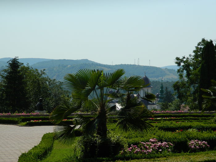 DSCN5814 - 2015_GRADINA BOTANICA JIBOU