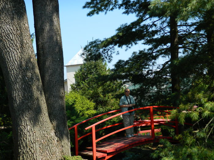 DSCN5816 - 2015_GRADINA BOTANICA JIBOU