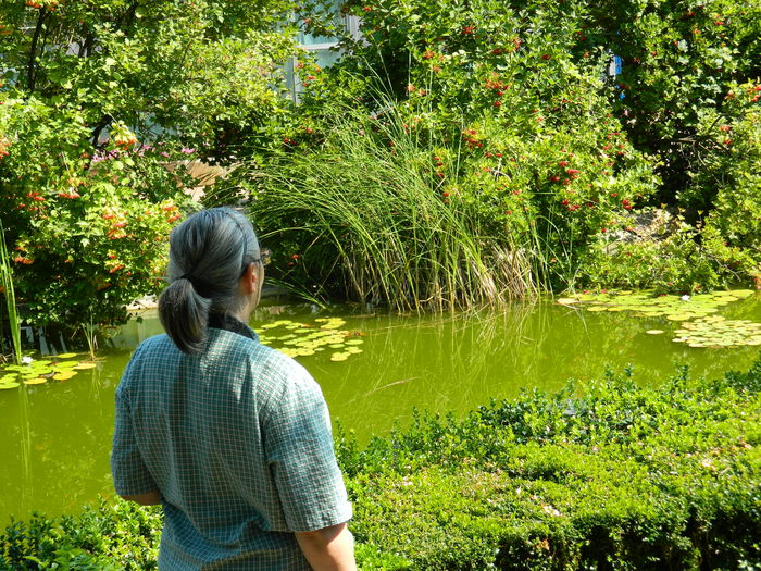 DSCN5818 - 2015_GRADINA BOTANICA JIBOU