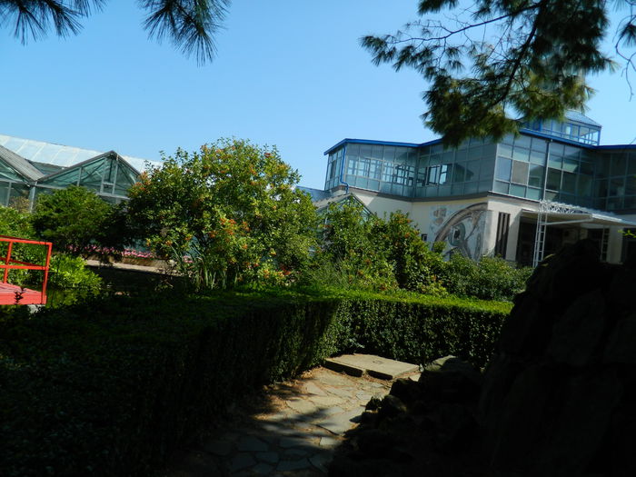 DSCN5825 - 2015_GRADINA BOTANICA JIBOU