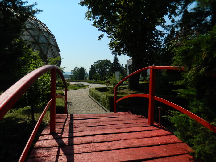 DSCN5826 - 2015_GRADINA BOTANICA JIBOU