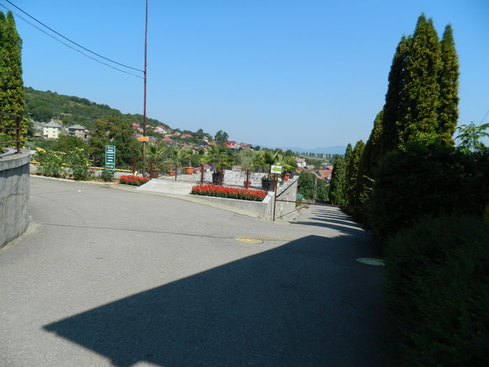 DSCN5831 - 2015_GRADINA BOTANICA JIBOU